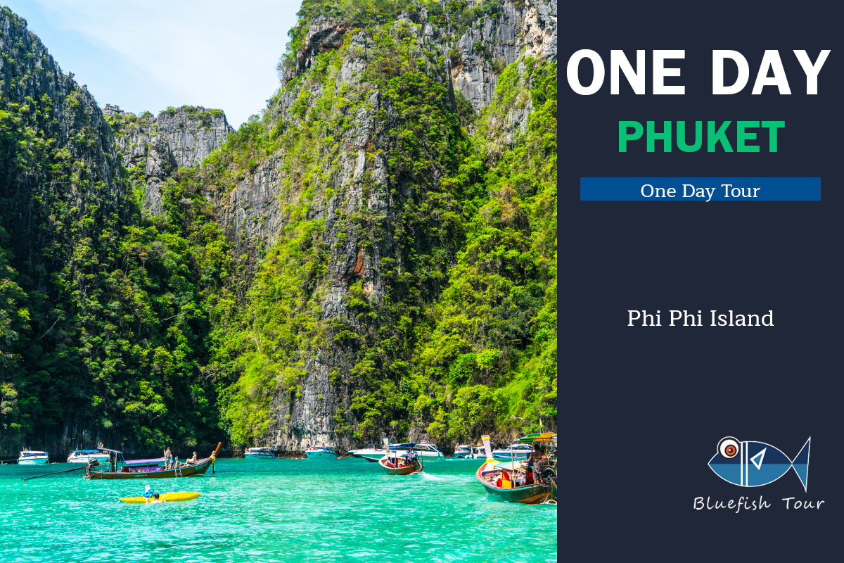 Phi Phi Island By Ferry or Cruise (From Phuket)